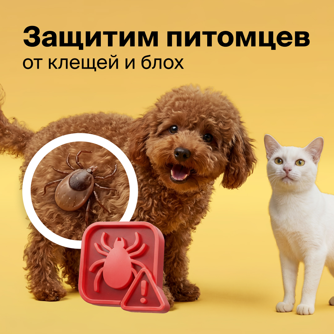 ВЕСЕННЯЯ ЗАЩИТА ДЛЯ ПИТОМЦЕВ в магазине «Четыре Лапы»!